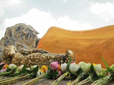 Bangkok to Ayutthaya Cycling Journey