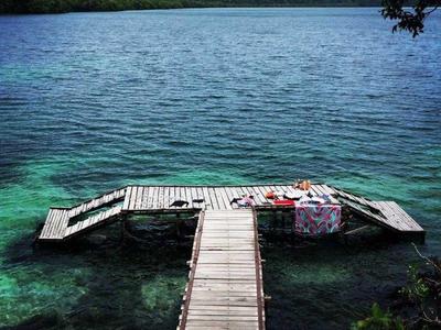 A dock by the jellyfish lake in Derawan Islands