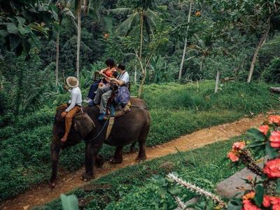 A family riding on an elephant guided by a trainer in Bali