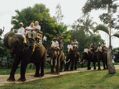 A group of tourists elephant trekking in Bali