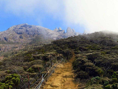 A picture that shows the condition of trails towards Laban Rata Resthouse
