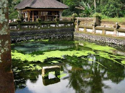 a small lake in Tampak Siring