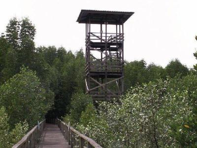 Aviary tower in Kota Kinabalu Bird Sanctuary