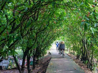 batch_SMK0011 - Cycling (13)