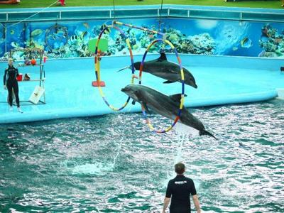 batch_TUAN CHAU PARK_1