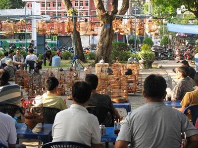 Ho Chi Minh City Morning Jeep Exploration