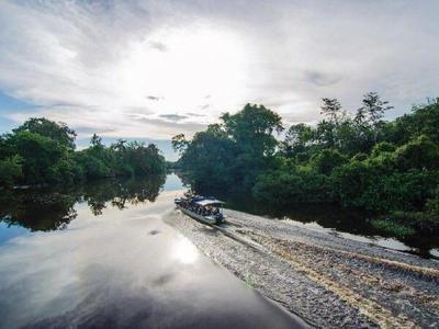Boat cruising at Klias Forest Reserve