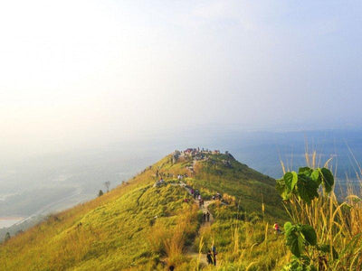 broga hill hiking morning