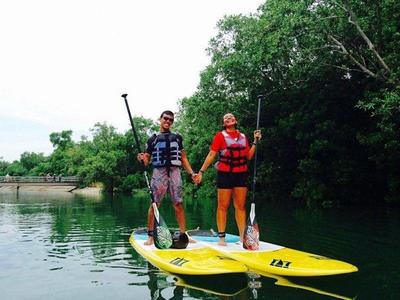 Couple doing stand up paddling at Sungei Tampines Mangrove