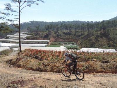Dalat Advanced Mountain Biking Expedition