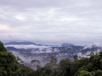 Danum Valley Field Centre Exploration