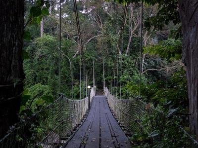 Danum Valley Field Centre Exploration