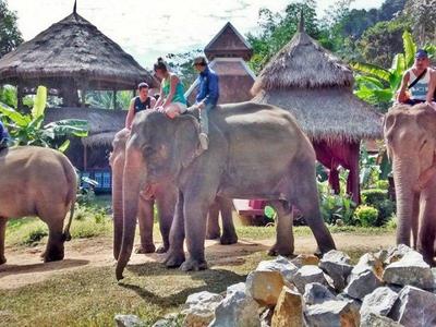 elephant riding at village Luang Prabang
