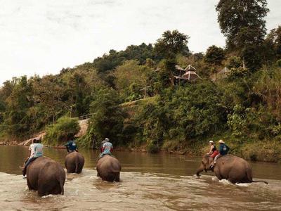 Elephant riding in the river at Ban Huay Fai