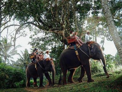 Elephant trekking through the forests in Bali