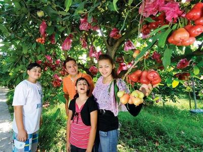 Family under a fruit tree in Desaru Fruit Farm