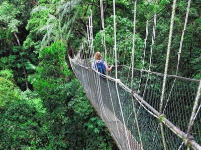 Female tourist on the canopy walk in Taman Negara