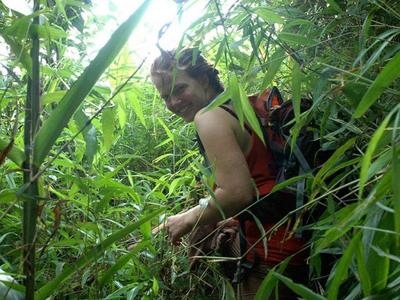 Female tourists treeking among the jungles of Luang Prabang