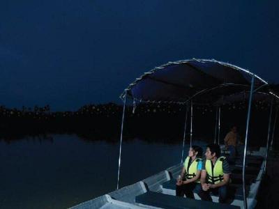 Firefly cruise at Selangor River