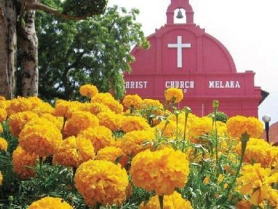 Flower bushes in front of the Christ Church in Malacca