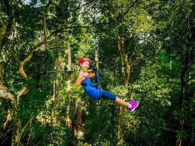 Flying fox at Langkawi Island