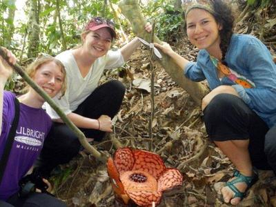 Foreign tourists spotted blooming Rafflesia in the forest of Lata Jarum