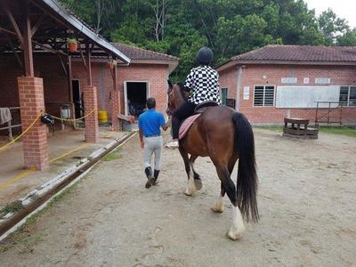 Fun horse riding activity at Bukit Tinggi