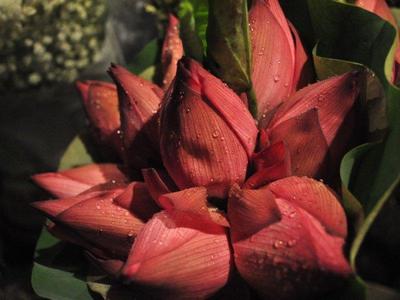 Good Morning Hanoi Tour