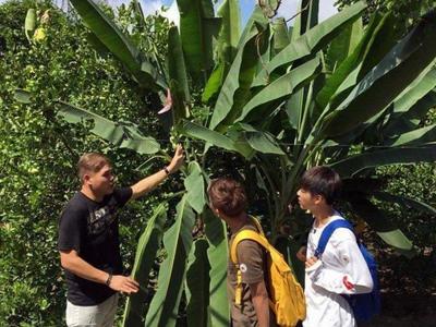 Guides pointing out the types of fruit plants seen in Desaru