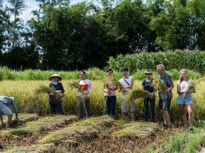 Hoi An Countryside Cycling Tour da nang