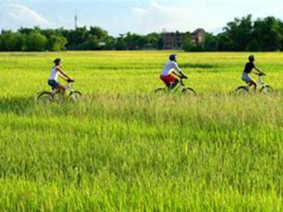Hoi An Countryside Cycling