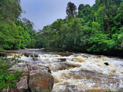 Jeram Berkoh rapids between jungles in Taman Negara