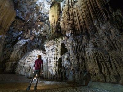 Jungle Trek at Elephant and Mada Valley