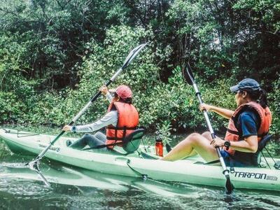 Kayaking at Pulau Ubin