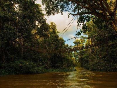 Kinabatangan manmade bridge across river