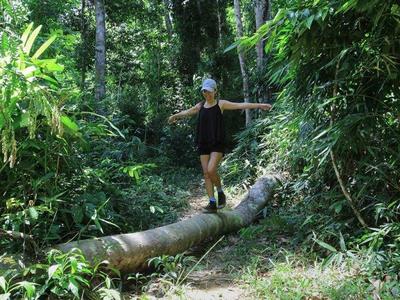 Lady standing on top of a fallen tree trunk in Nong Khiaw jungle