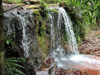 Lambir Hills National Park waterfall
