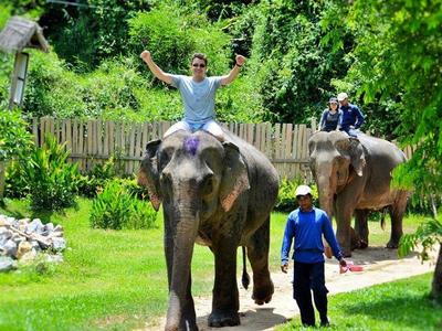 luang prabang elephant trekking