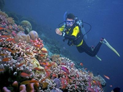 Male diver tourist enjoying the view of marine life in Sipadan