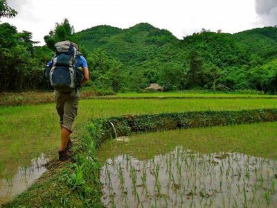 Man trekking through the paddy fields in Laos