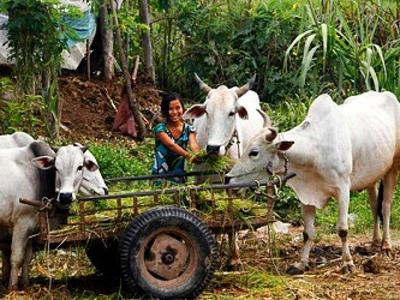 mekong-beautiful-local-farmer