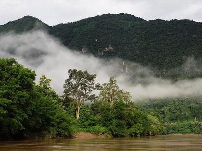 Mists covering the jungle at Nong Khiaw