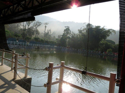 Morning at Broga Hill lake