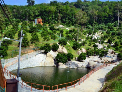 Paradise Valley Broga HIll