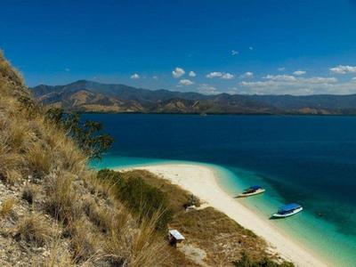 Pink Beach of Flores
