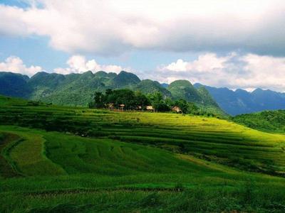 Pu Luong & Ninh Binh Trekking Getaway rice terraces