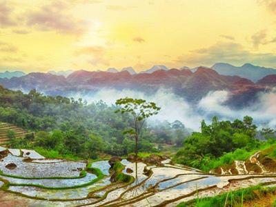 Pu Luong rice terrace