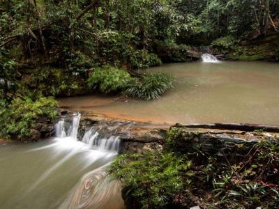 Rainforest waterfall in Miri