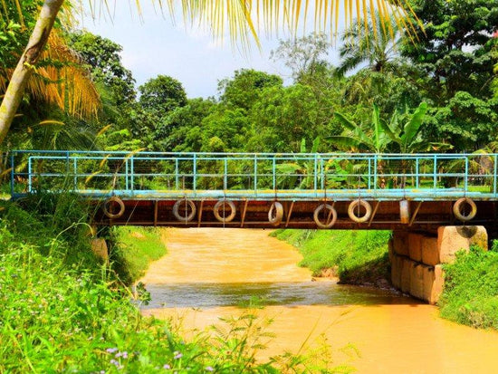 River bridge at SEVRR