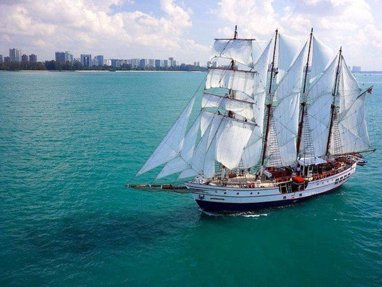 Royal Albatross out on sea